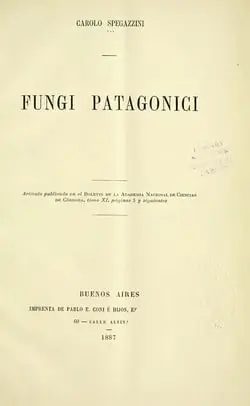 Fungi Patagonici